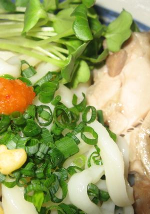 旨麺！冷やしうどん蒸し鶏添え-レシピのメイン写真
