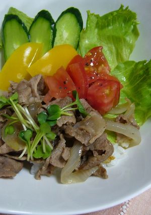 おいしい!!塩豚丼♪-レシピのメイン写真
