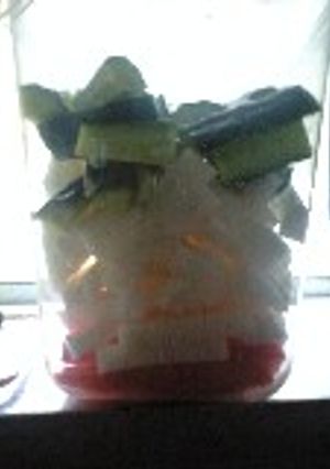 切るだけ簡単お漬け物-レシピのメイン写真