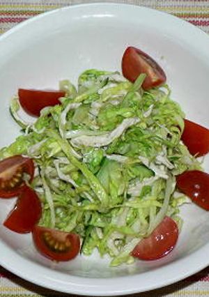 蒸し鶏入り和風コールスローサラダ-レシピのメイン写真