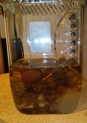 梅シロップの作り方-レシピのメイン写真