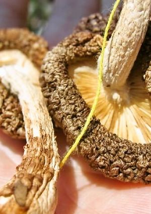 干し椎茸の作り方（椎茸のバター焼き）-レシピのメイン写真