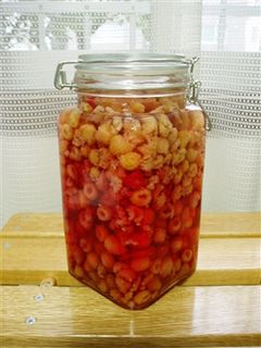 果実酒★ラズベリー酒-レシピのメイン写真