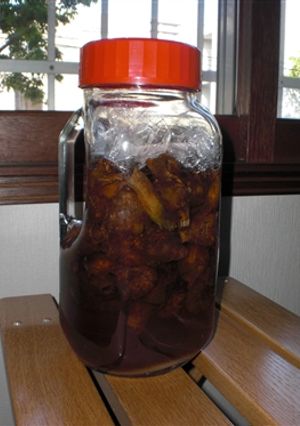 野草酒★ふきのとう酒-レシピのメイン写真