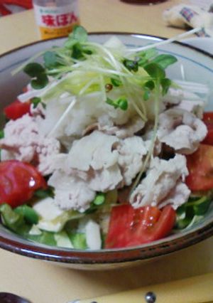 野菜モリモリ！味ぽんで激うま冷しゃぶ丼☆-レシピのメイン写真