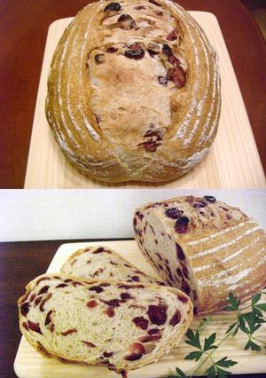 クランベリーのカンパーニュ-レシピのメイン写真