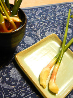 葉しょうがの甘酢漬け-レシピのメイン写真