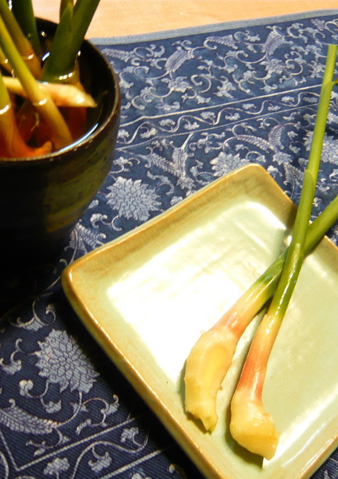 葉しょうがの甘酢漬け-レシピのメイン写真