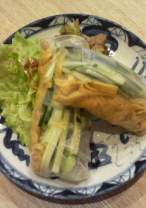 棒々鶏風・生春巻き-レシピのメイン写真