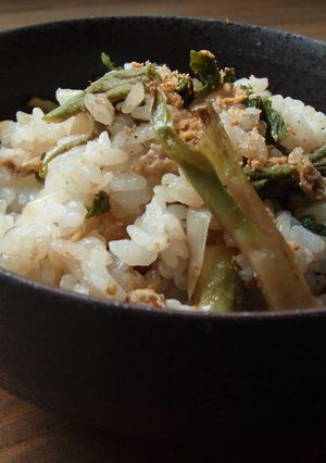 我が家の大好物！《山ウドの混ぜご飯》-レシピのメイン写真