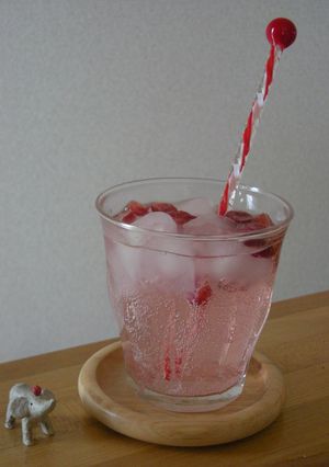 お酢で簡単♪クランベリーサワードリンク-レシピのメイン写真