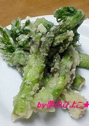 簡単！素朴で美味しい山ウドの芽のテンプラ-レシピのメイン写真