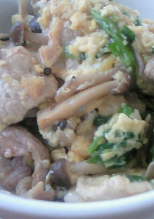 豚のあんかけ丼-レシピのメイン写真