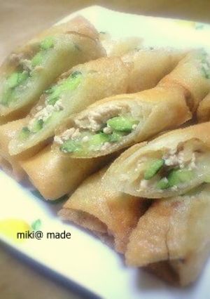夏野菜救済！？きゅうりの春巻き-レシピのメイン写真