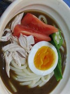 カレーHALF冷やしぶっかけうどん-レシピのメイン写真