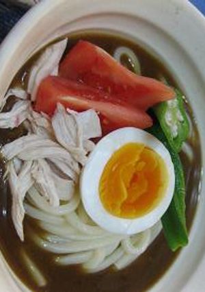 カレーＨＡＬＦ冷やしぶっかけうどん-レシピのメイン写真