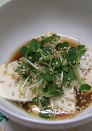 温やっこ　カイワレしょうがのせ-レシピのメイン写真