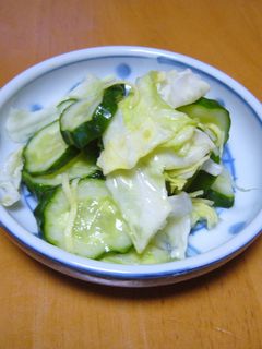 簡単あっさりキャベツの浅漬け!-レシピのメイン写真