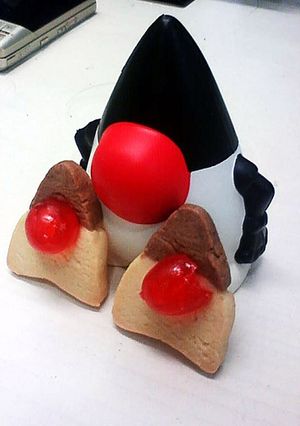 Dukeクッキー-レシピのメイン写真