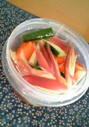 胡瓜・人参・茗荷のさっぱり甘酢漬け-レシピのメイン写真