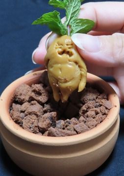 マンドラゴラキャラメル-レシピのメイン写真