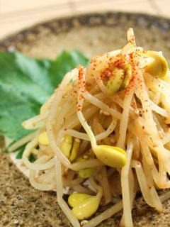 豆もやしのナムル-レシピのメイン写真