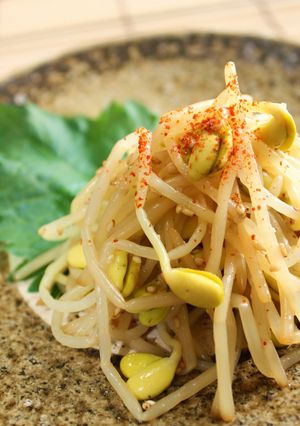 豆もやしのナムル-レシピのメイン写真