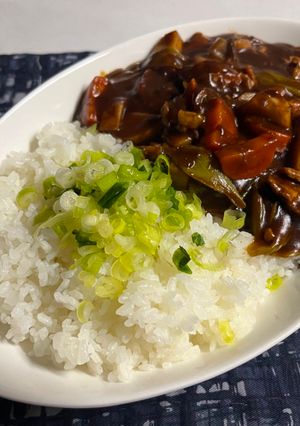 芋煮ハヤシライス-レシピのメイン写真