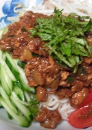 ひやむぎDEジャージャー麺-レシピのメイン写真