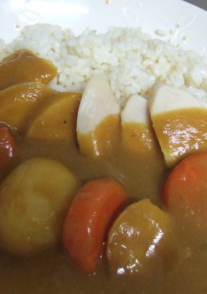 野菜たっぷりヘルシーカレー★-レシピのメイン写真