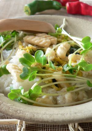 ほたて味~♬ふんわり卵スープ飯-レシピのメイン写真