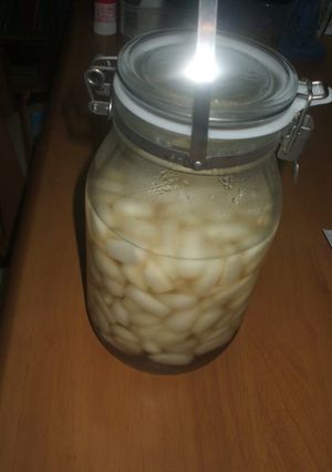 らっきょうのかんたん漬け-レシピのメイン写真