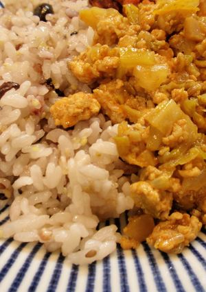 キャベツと鶏挽き肉のカレー-レシピのメイン写真