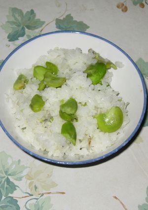 空豆御飯-レシピのメイン写真