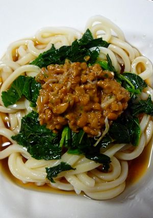さっぱりと栄養食べよう！ネバネバうどん-レシピのメイン写真