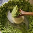 Garlic scape pesto