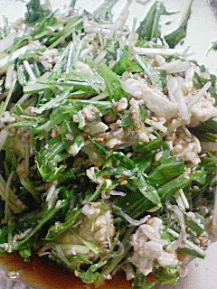 シャキトロ!水菜と豆腐の簡単サラダ-レシピのメイン写真