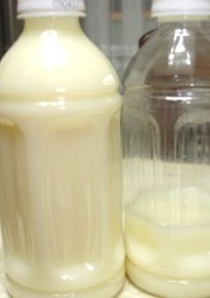 材料3つ♪自家製カルピス（ふう）原液-レシピのメイン写真