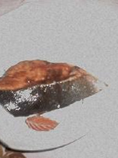 ぶりのてり焼き-レシピのメイン写真