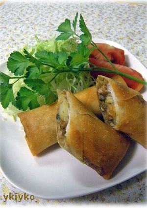 ポテ☆カレー春巻き-レシピのメイン写真