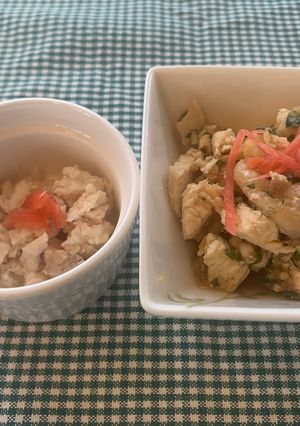 冷凍鶏胸肉からおろしサラダ-レシピのメイン写真