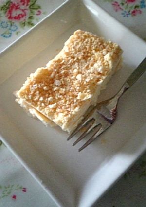 フローズンチーズケーキ-レシピのメイン写真
