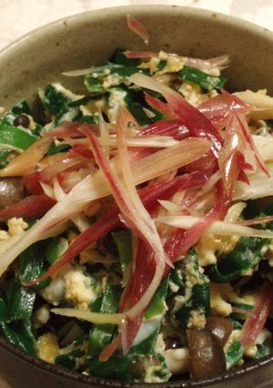 ☆みょうがのサワー漬け＋ニラ玉餡かけ丼☆-レシピのメイン写真
