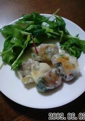ご飯揚げワンタン-レシピのメイン写真