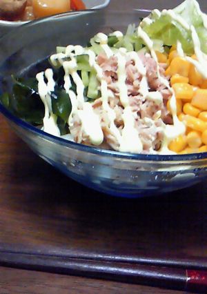 さっぱりサラダうどん-レシピのメイン写真