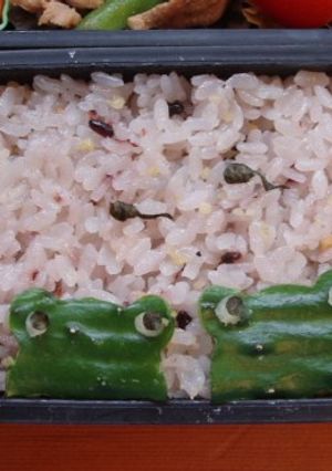 ★簡単キャラ弁★ 哀愁漂う！？カエル-レシピのメイン写真