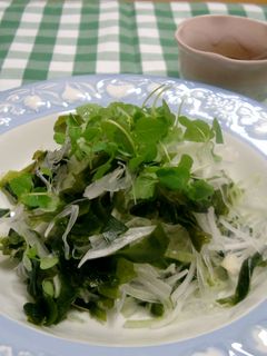 新玉ねぎとわかめのあっさりサラダ-レシピのメイン写真