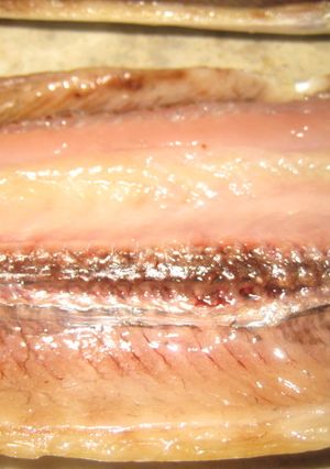 海鮮！秋刀魚の干物-レシピのメイン写真