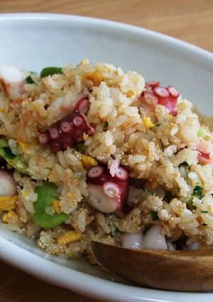 たこ明太炒飯-レシピのメイン写真