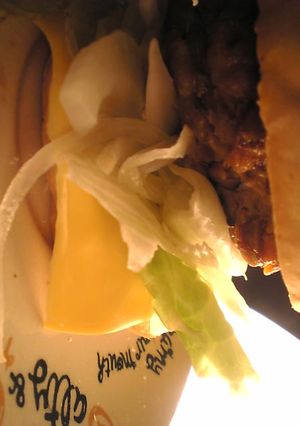 和風ハンバーグの照り焼きバーガー-レシピのメイン写真